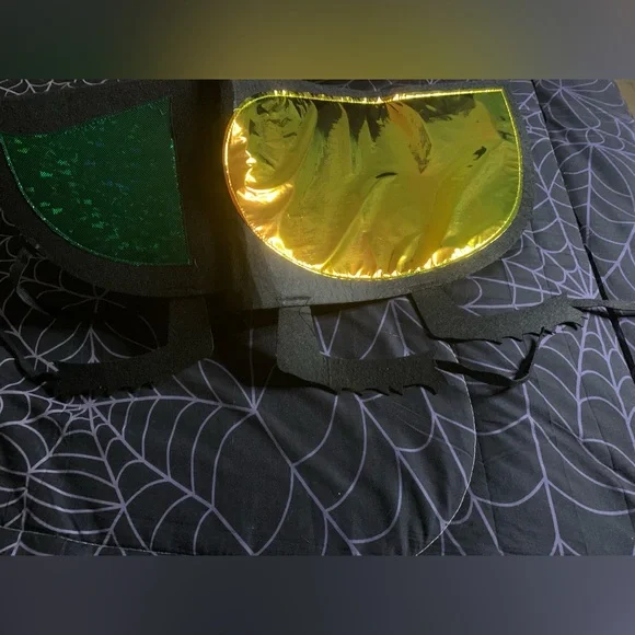 Target Kids Fly Costume with Shimmering Green and Black - Picture 5 of 11